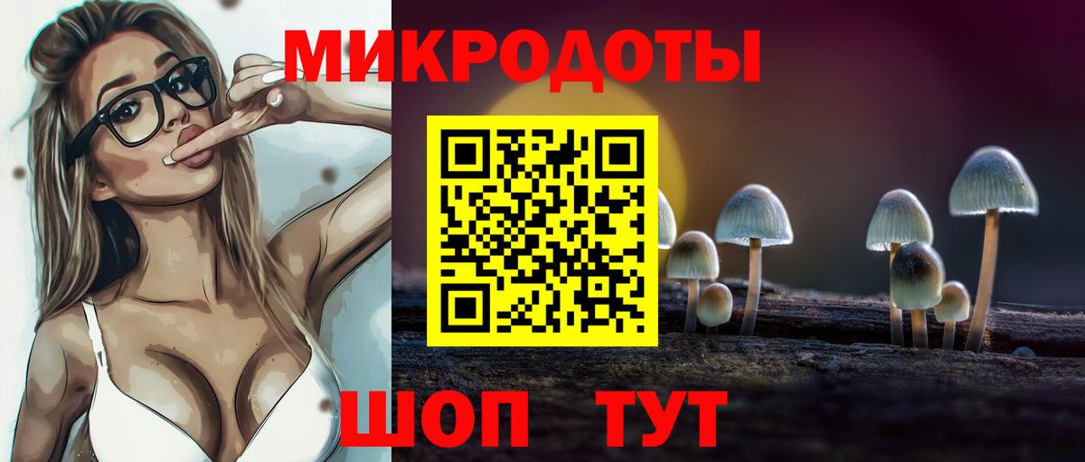 Гагарин  Псилоцибиновые грибы ЛСД  Псилоцибиновые грибы Psilocybe  Вход с VPN 